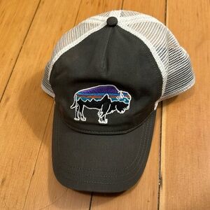 Patagonia Women's Fitz Roy Bison Layback Trucker Hat in  gray and white